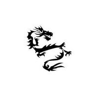 Dragon tattoo photo