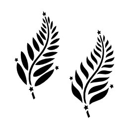 Silver fern tattoo photo