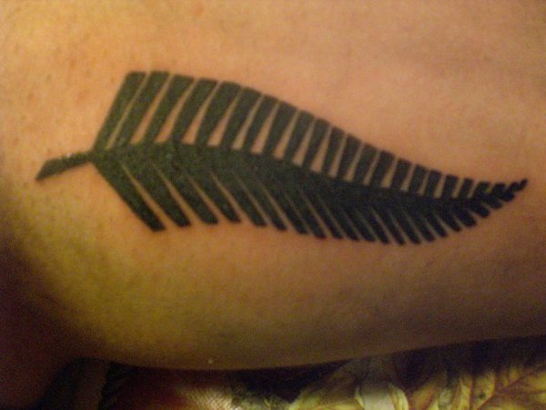 Alessandro - Silver fern tattoo photo