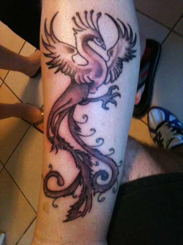 Davide - Phoenix tattoo