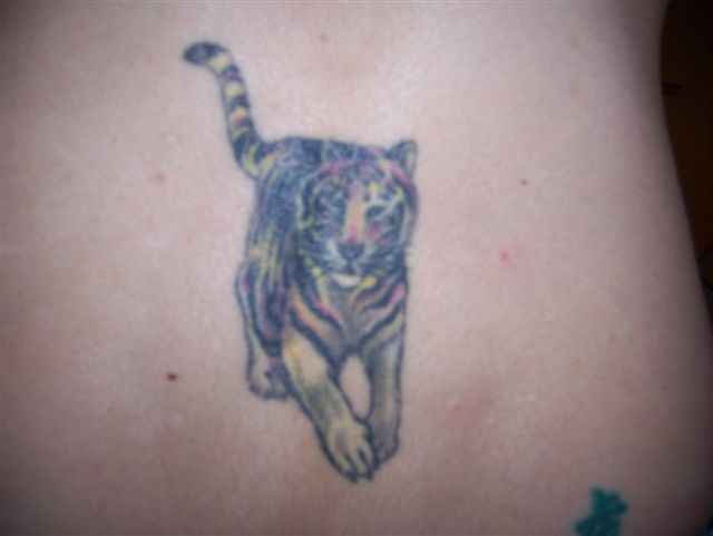 Jenna - tiger tattoo