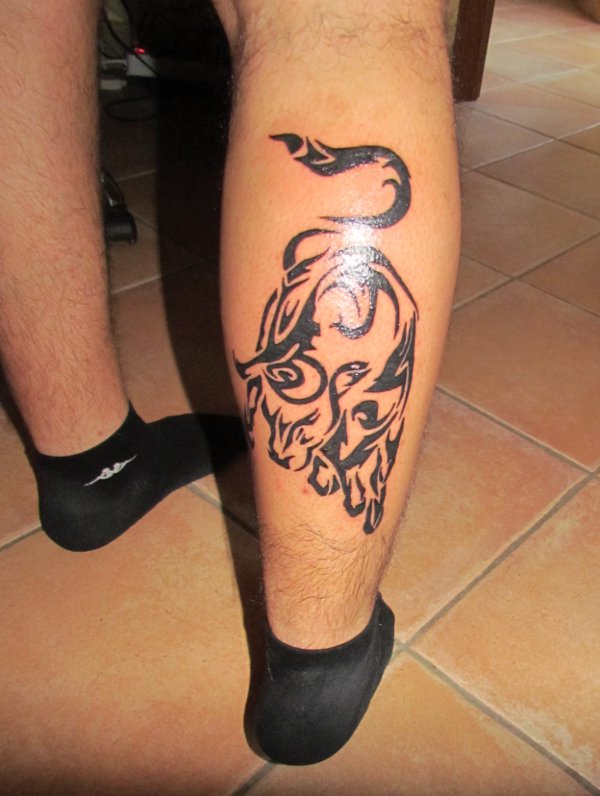 Lorenzo - bull tattoo