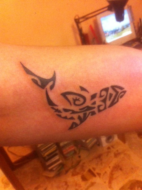 Lorenzo - Shark tattoo