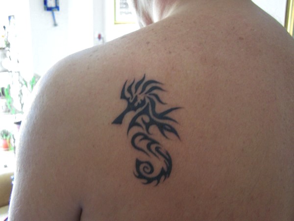 Marco - Seahorse tattoo