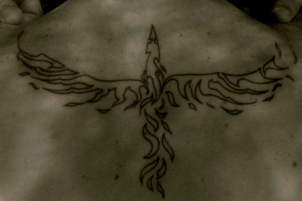 Marco - tribal phoenix tattoo photo