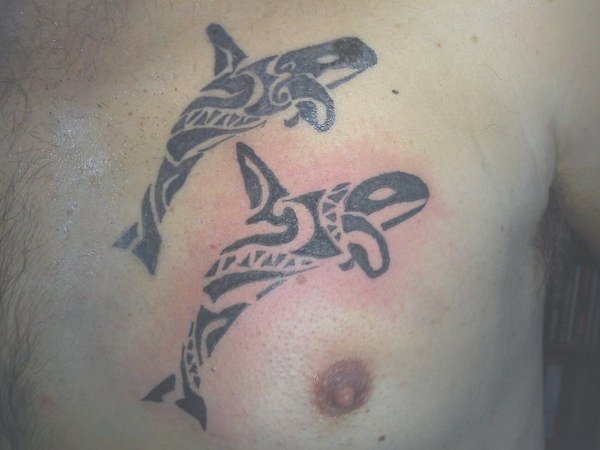 Paul - Killer whales tattoo