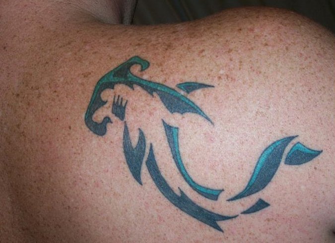 Warren - Shark tattoo